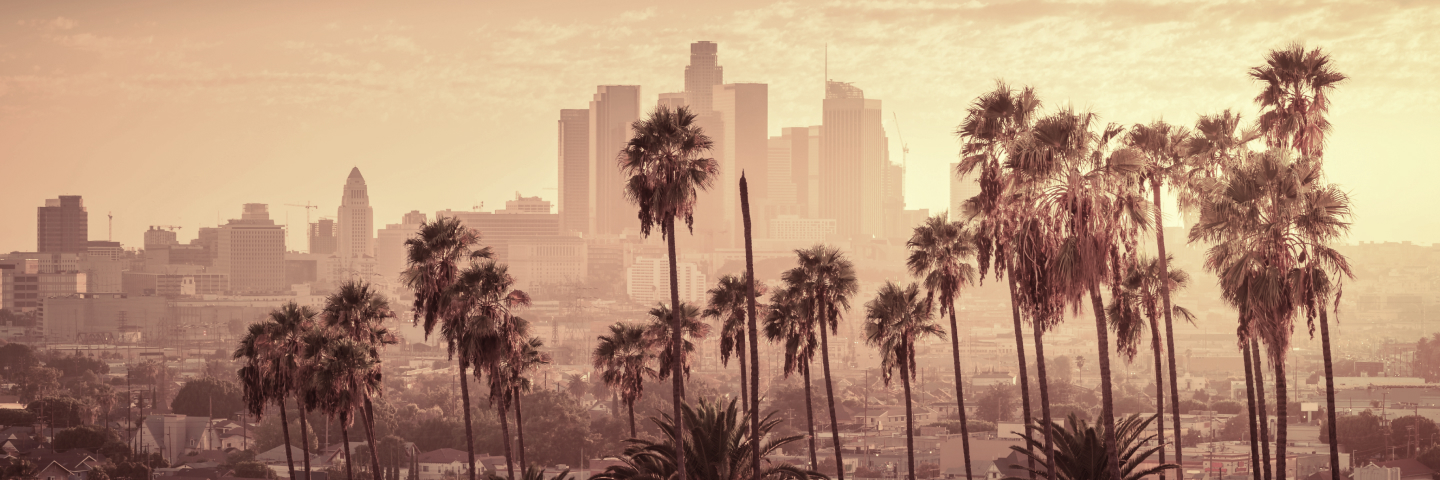 Los Angeles City skyline with palm trees